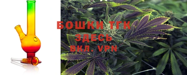 ECSTASY Вяземский