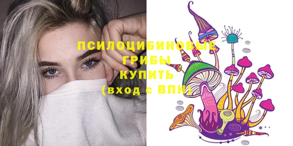 ECSTASY Вяземский