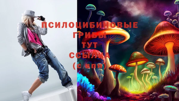 стаф Волосово