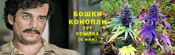 гидра Волоколамск