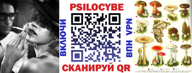 дарнет шоп  Заволжск  Псилоцибиновые грибы Cubensis 